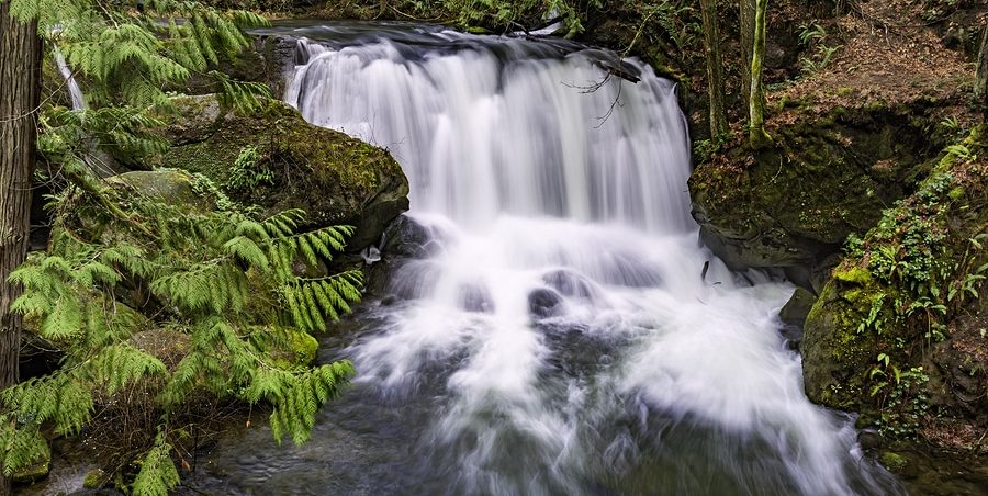 Visit the Mount Baker Theatre in Bellingham This Spring