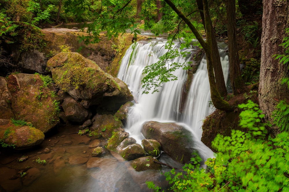 Whatcom Falls Park