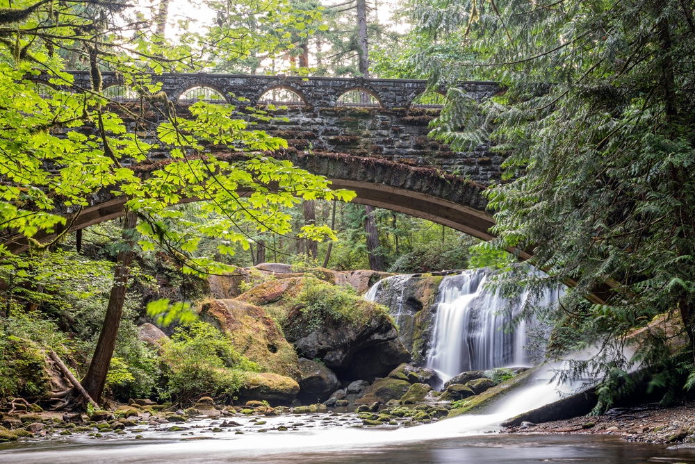 6 Incredible Reasons to Visit Whatcom Falls Park in Bellingham