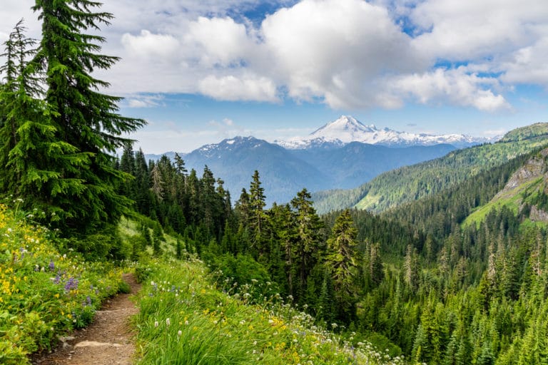 best hikes mt baker