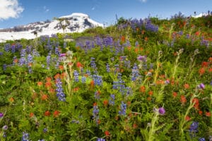 best hikes mt baker