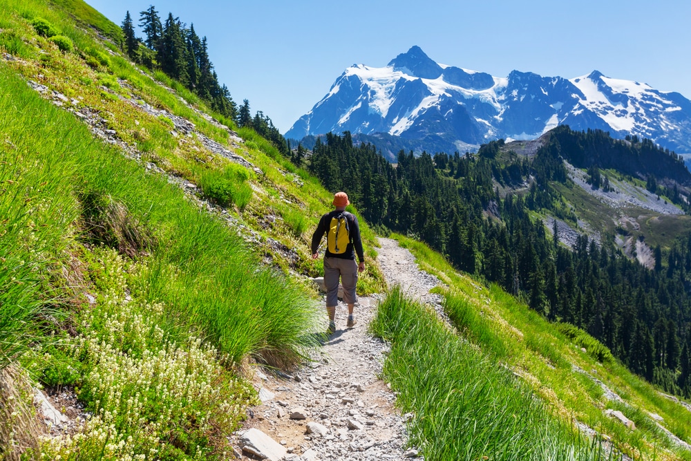 best hikes mt baker