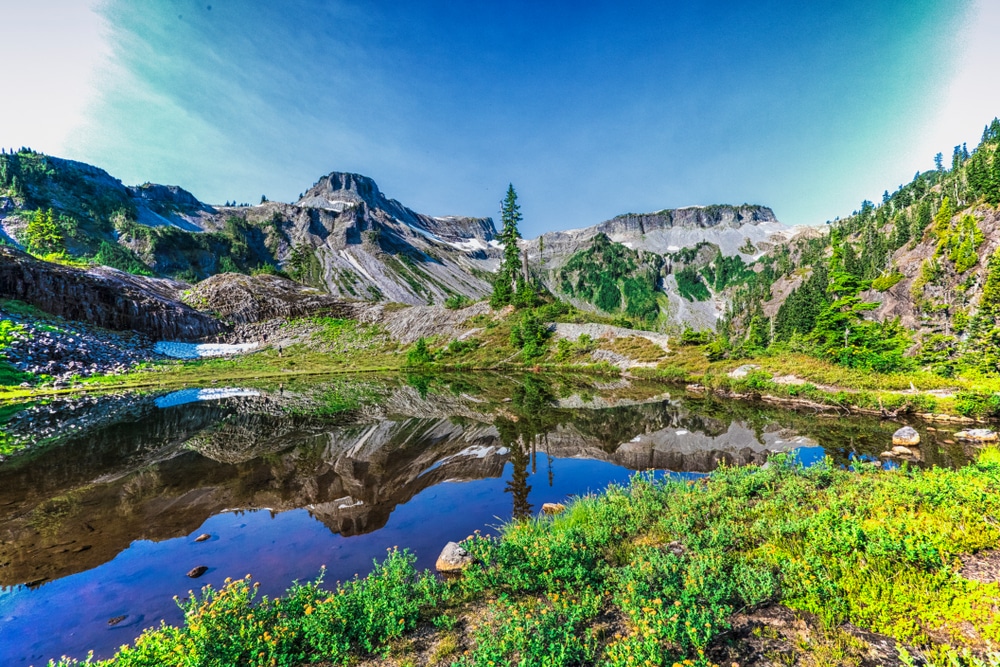 Visit Heather Meadows at Mt. Baker this summer