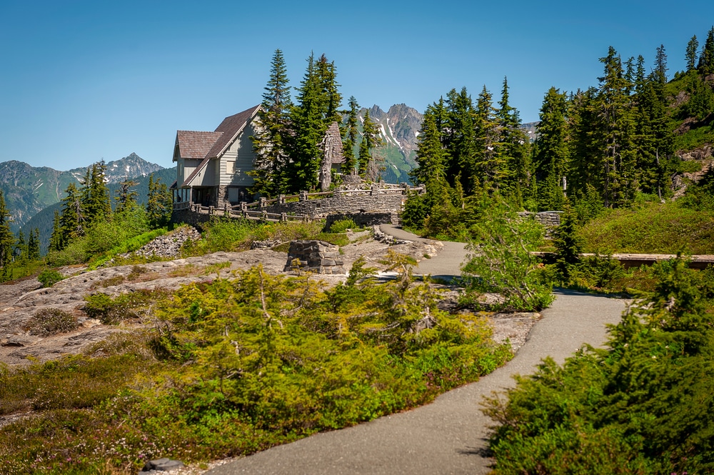 Visit Heather Meadows at Mt. Baker this summer