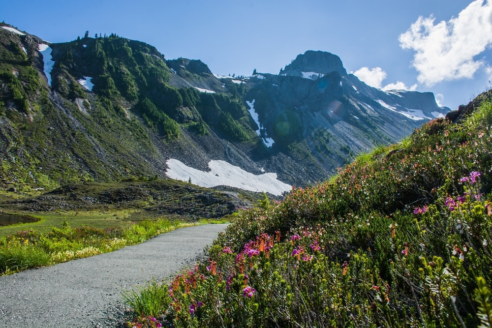 Visit Heather Meadows at Mt. Baker this summer