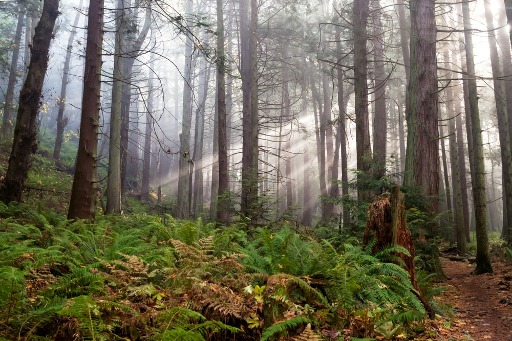 Larrabee State Park