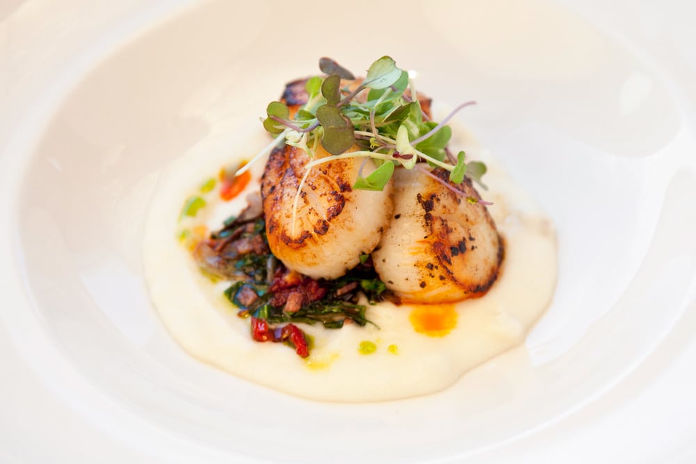 Bellingham Restaurants, photo of a beautiful plate of scallops 