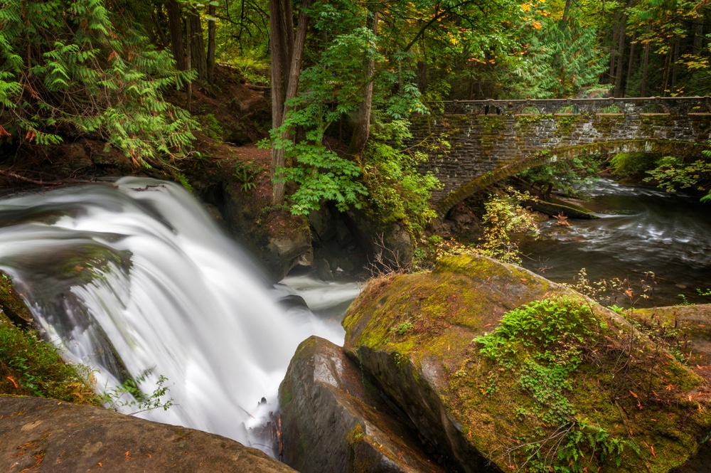 Photo of the stunning Whatcom Falls Park in Bellingham