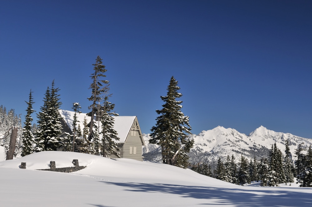 Heather Meadows at Mount Baker Ski Area