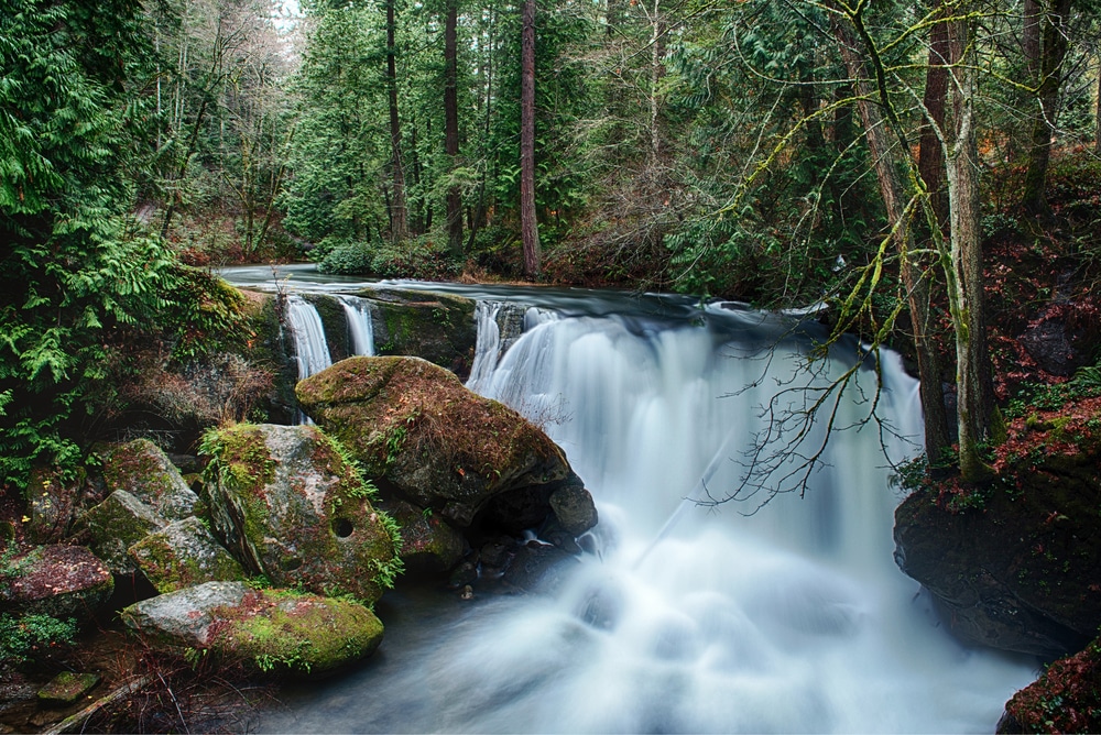 Whatcom Falls State Park is where you'll find some of the most beautiful waterfalls in Washington State
