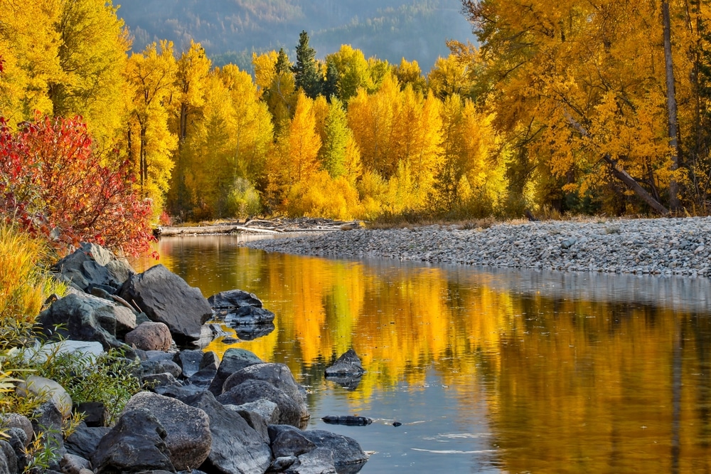 Best Places to See Fall Foliage near our Bellingham bed and breakfast