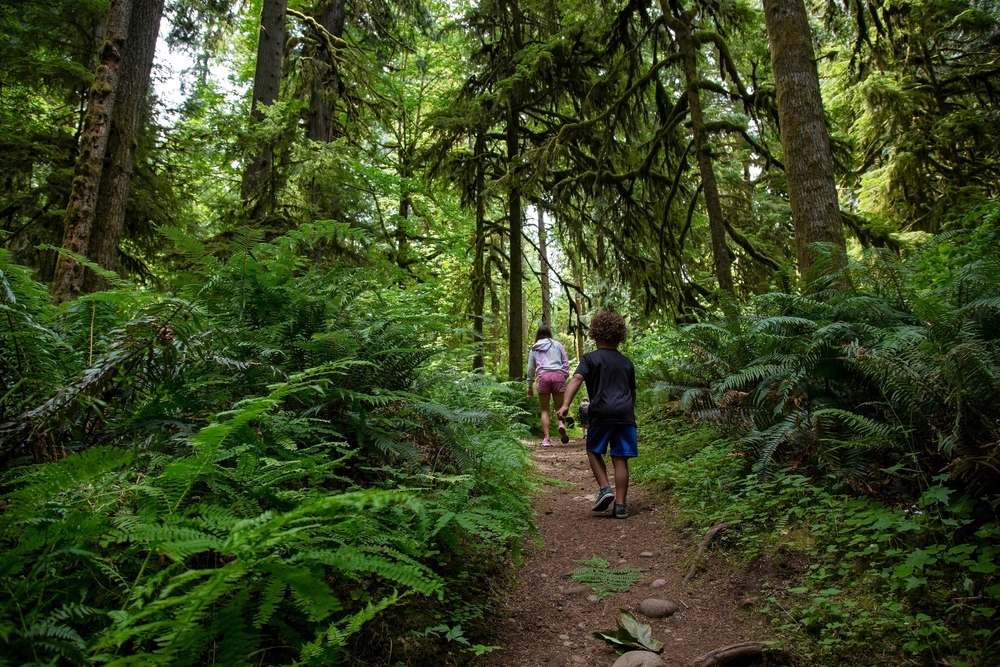 Things to do in Washington State with kids