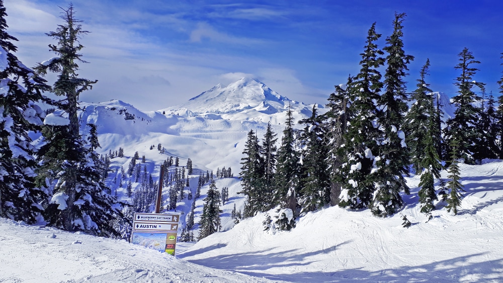 Enjoy a Season of Mt Baker Skiing